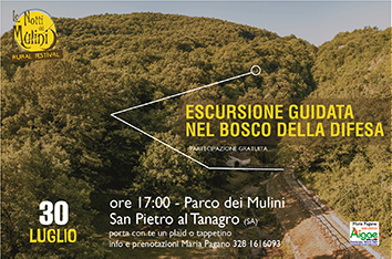escursione guidata bosco della difesa